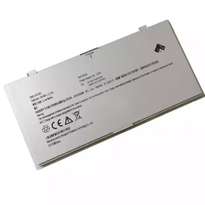 Bateria para PZ 306011411501 306011411502